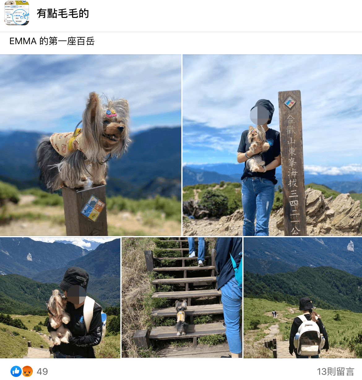 一名飼主帶寵物犬登合歡山,被網友提醒是違法行為趕緊刪文。(翻攝自有點毛毛的臉書)