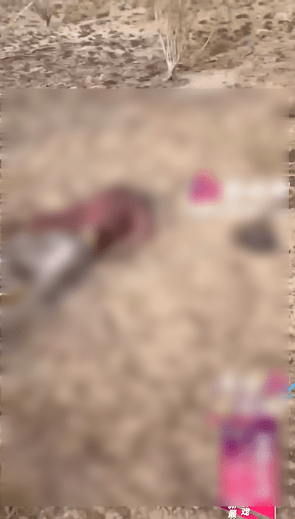 遺體都已呈現燒焦曬乾的恐怖狀態。(翻自微博+《51吃瓜網》)