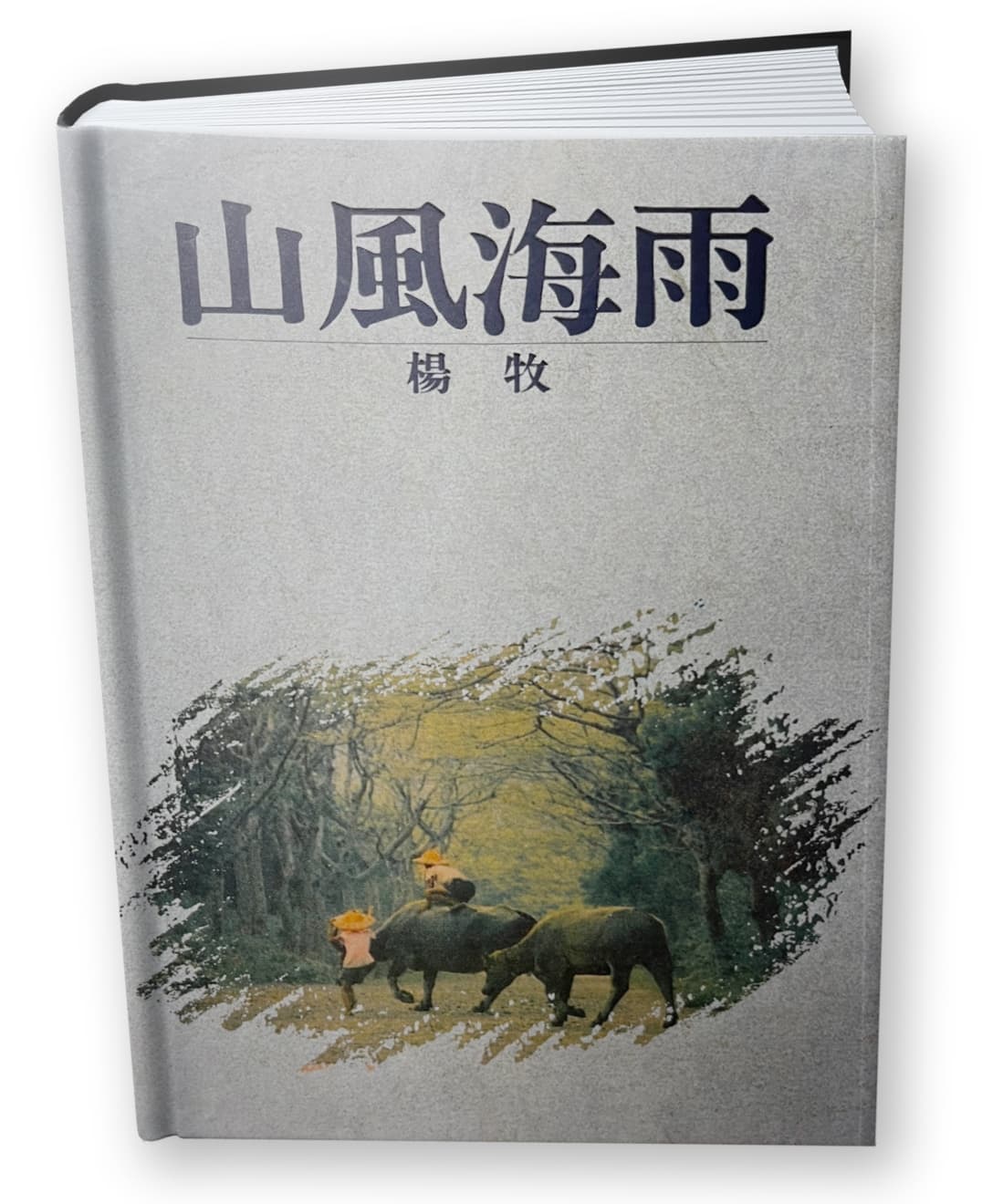 楊牧創作的《山風海雨》(圖)是台灣文學自傳經典。(翻攝自吳識鴻臉書)