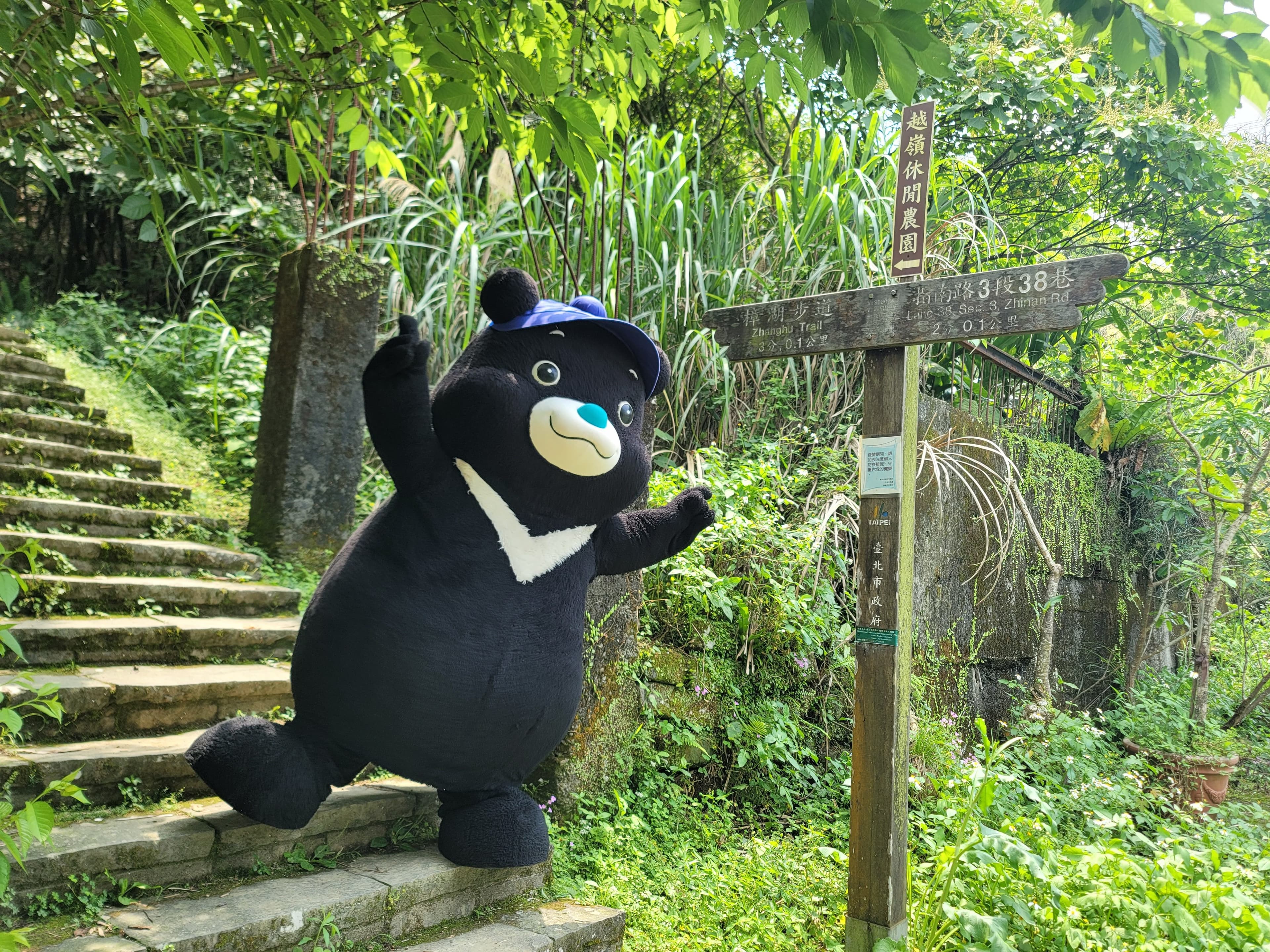 貓空這次列入第2波任務地區,只要完成指定任務後上傳照片,即可抽台北城市紀念品。(台北市觀傳局提供)