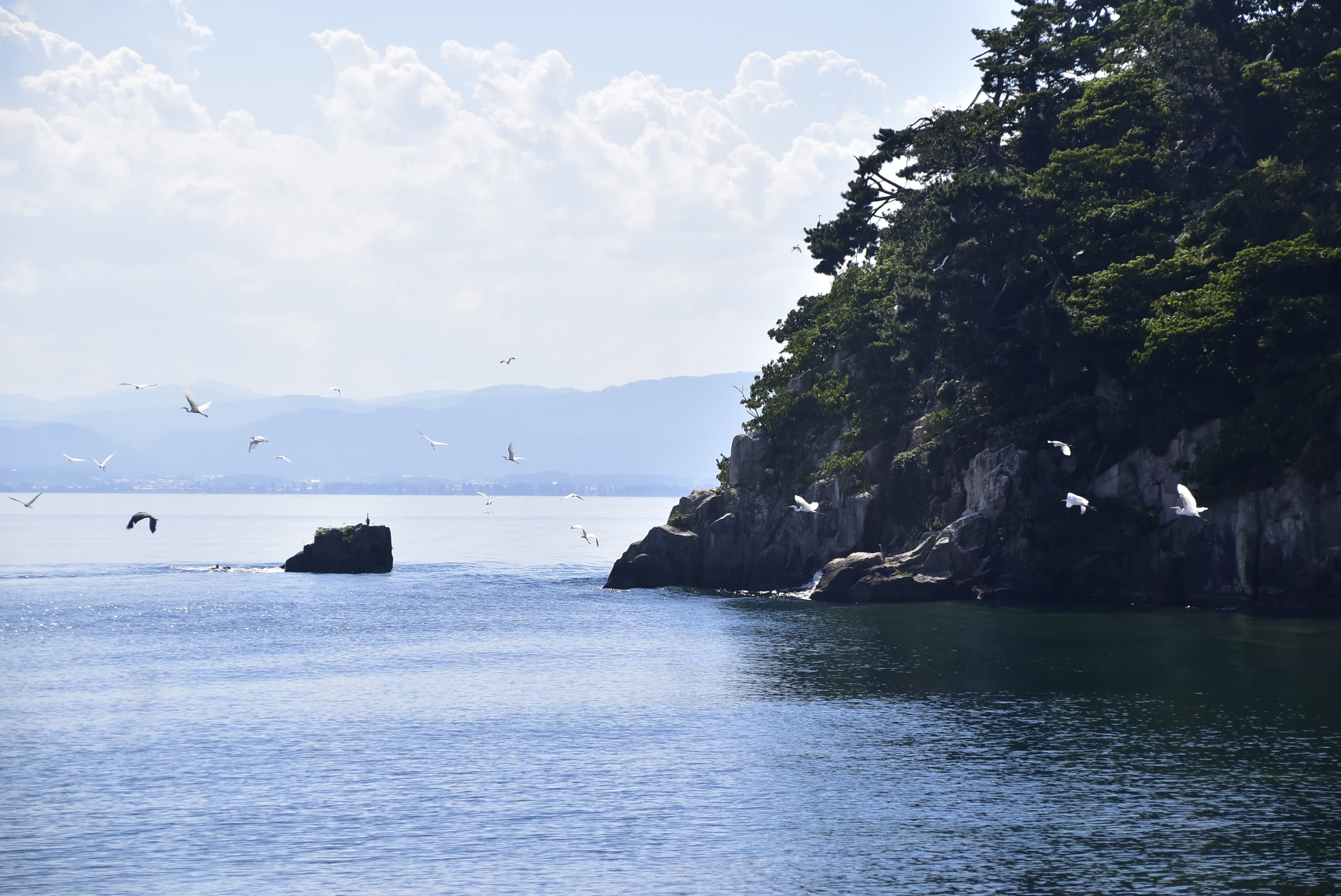 由花崗岩形成的竹生島,因翡翠綠與夕陽美景被入選為琵琶湖八景之一。
