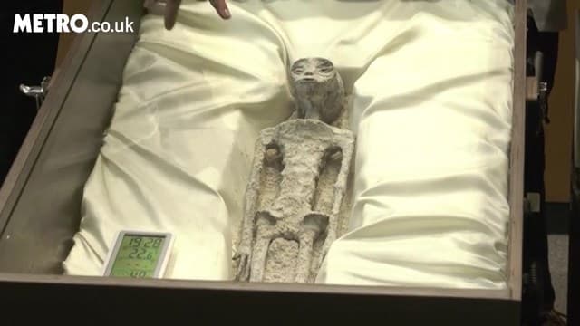 莫桑強調,這些外星人屍體證明,人類在宇宙中並不孤單。(翻自《都市報》)