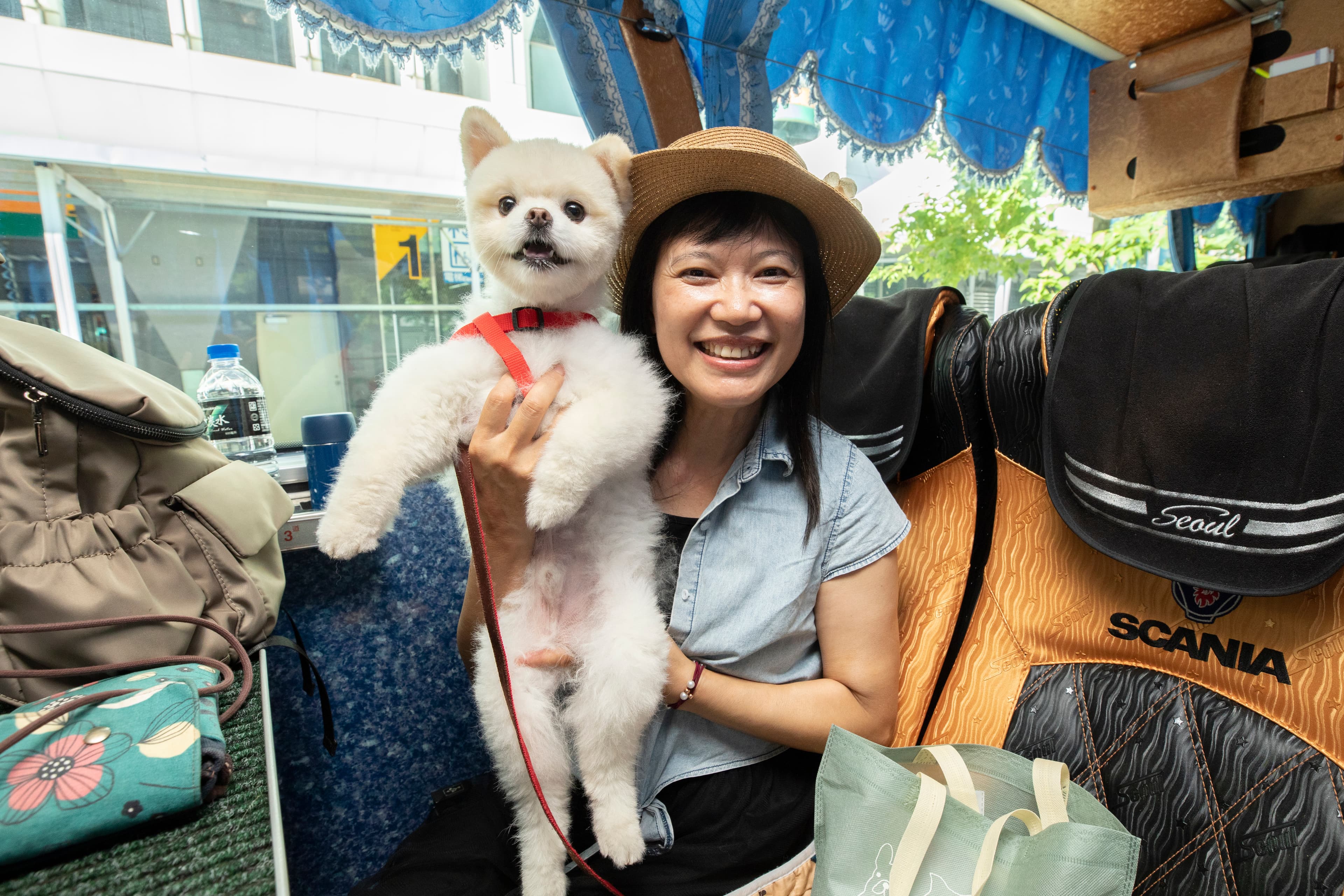球球媽和全家人帶小兒子博美犬「球球」半夜3點從南投開車來台北集合,準備前往台東看熱氣球。