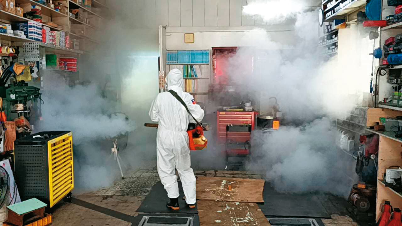 全台登革熱病例已經突破萬件,其中以台南病例數最多。(翻攝台南市政府官網)