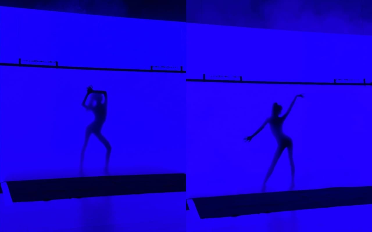 Lisa日前曝光疑似為瘋馬秀彩排的畫面,舞姿辣到爆。(翻攝Lisa INS)