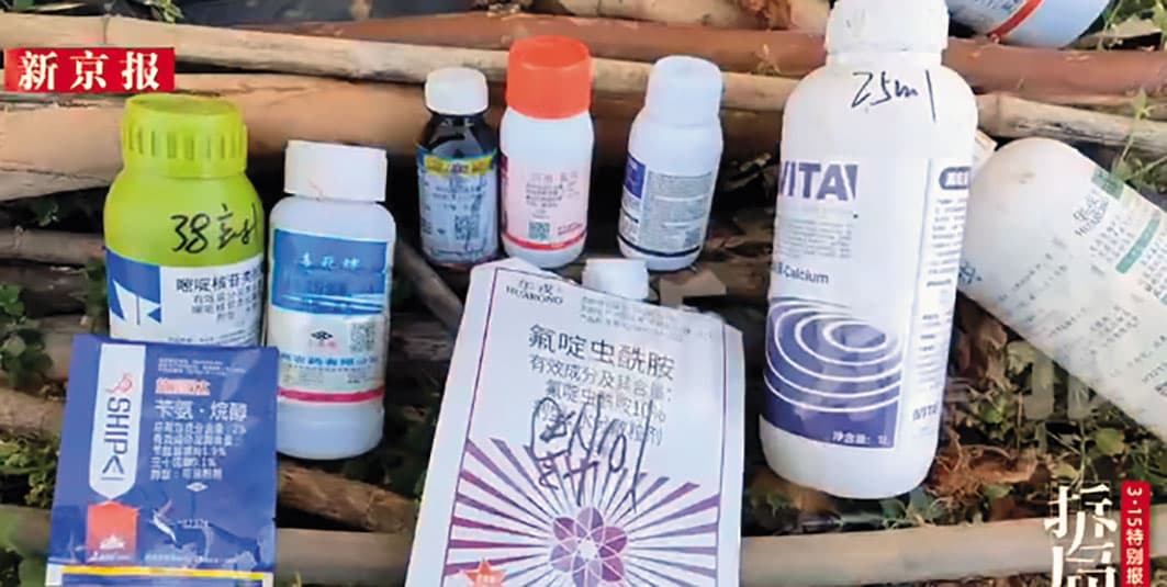 中國草莓果乾被驗出的農藥中,有3種屬於劇毒農藥。(翻攝微博)