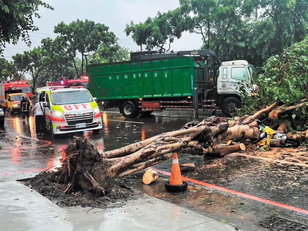 高雄婦人騎機車遭傾倒的路樹擊中,傷重不治。(高雄市消防局提供)