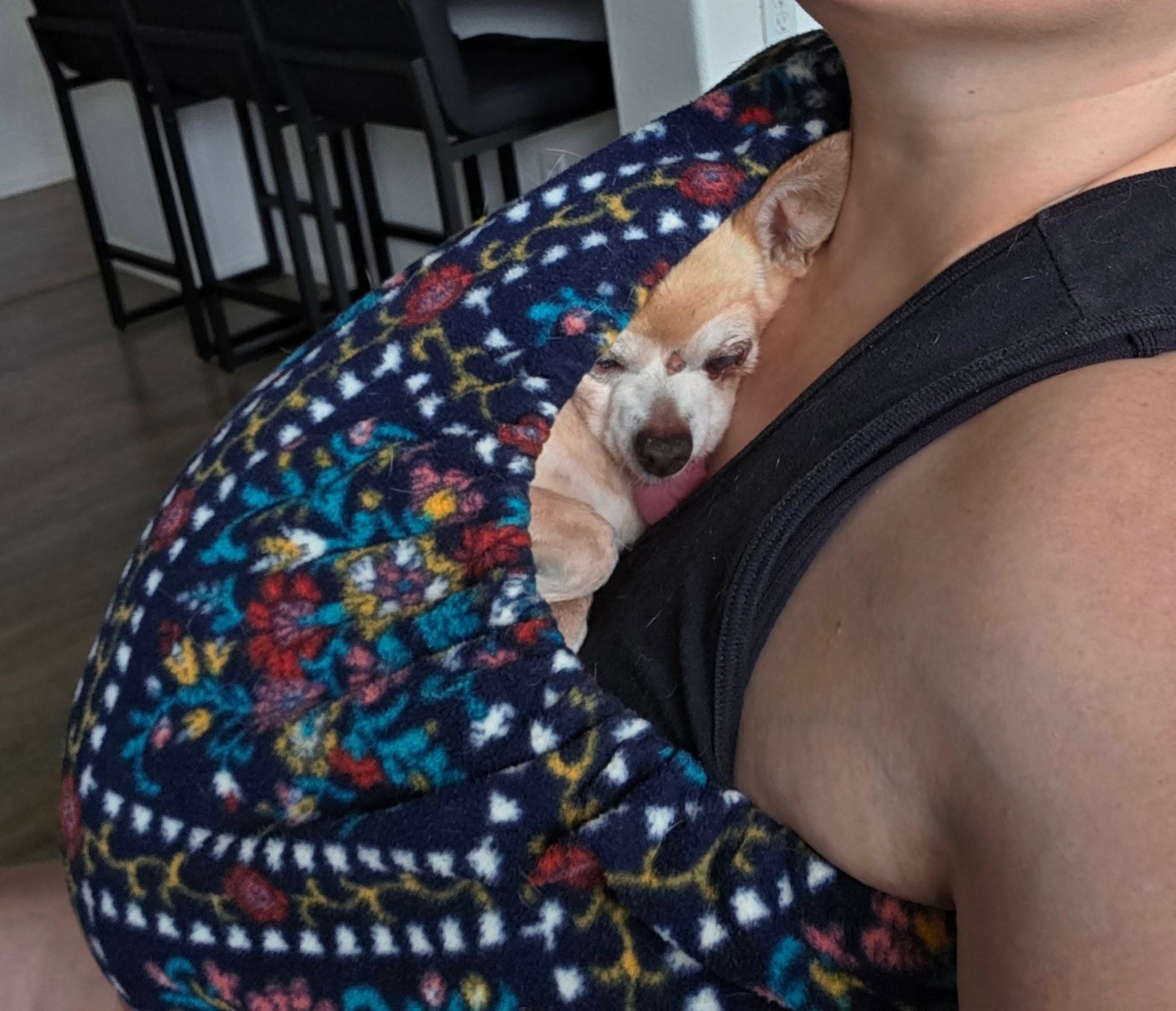雖然有了「假人爸爸」,寵愛犬的格雷斯還是會在工作時將Dingo揹在懷裡,讓牠更有安全感。(翻攝自facebook@Janelle Grace )