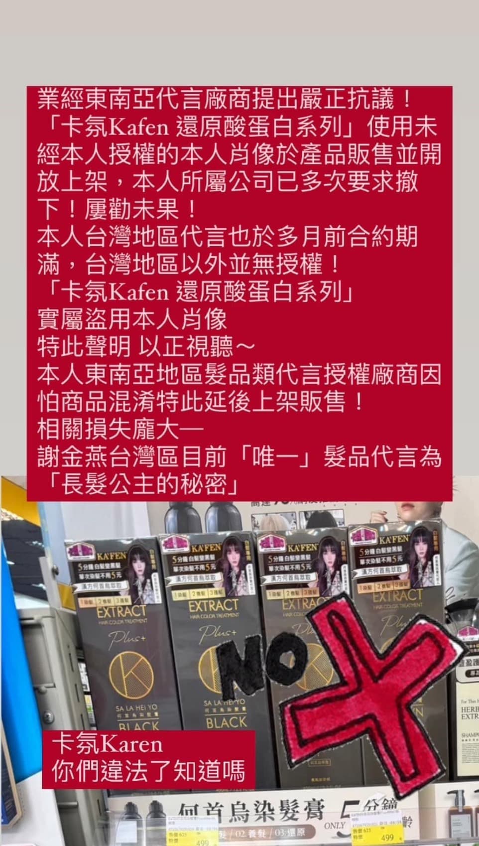 謝金燕難得在臉書說重話。（翻攝自謝金燕臉書）