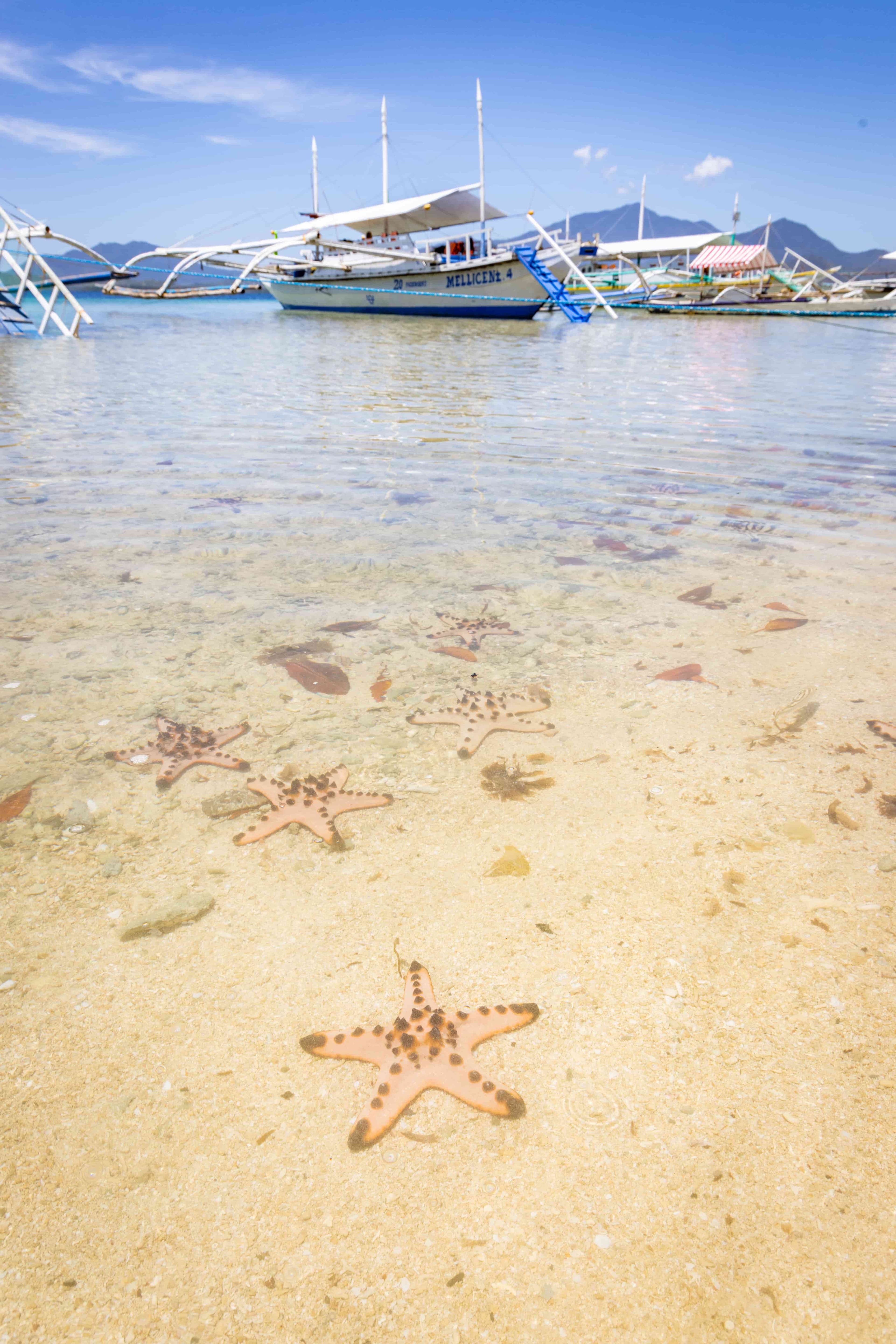 島如其名的海星島,隨處都能看到可愛的海星趴在清澄的海水下。