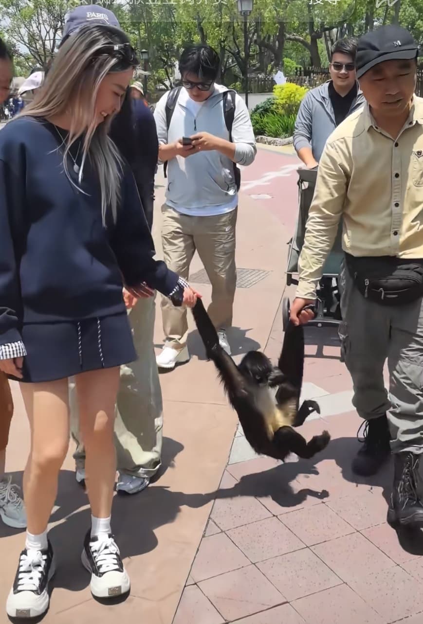 豆豆平常就相當親人,尤其喜歡長髮女遊客。(翻攝上海野生動物園小紅書)