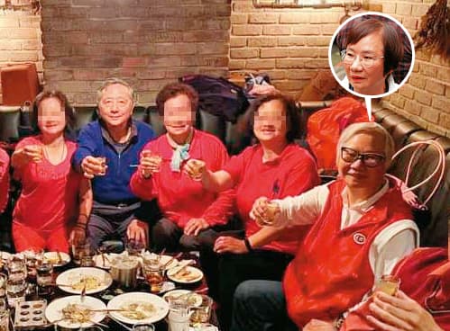 羅淑蕾卸下立委職務後,鮮少出現螢光幕前,目前滿頭白髮。