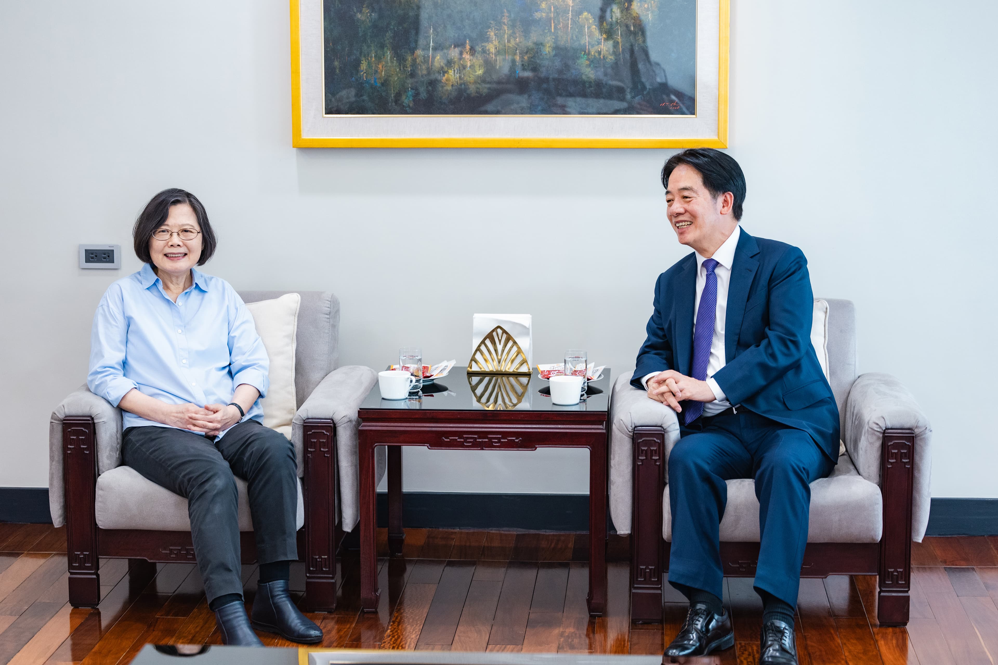 蔡英文此次訪歐行安排,賴清德全力相挺。(總統府提供)