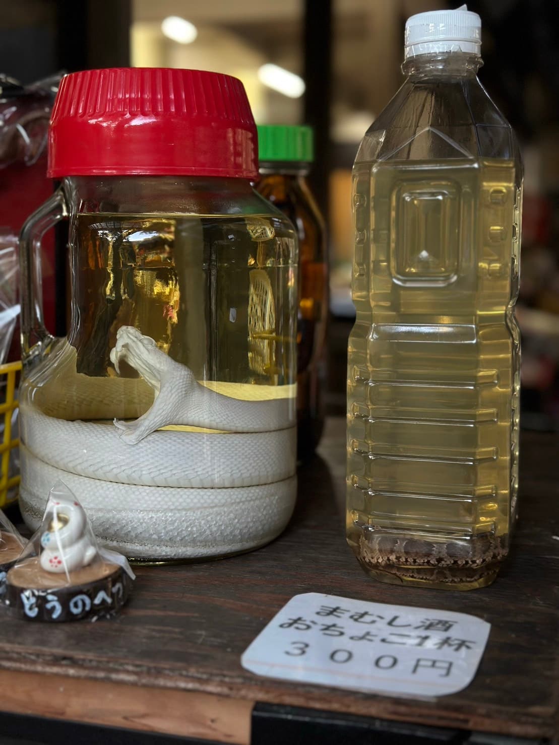小賣店裡驚見已褪色成全白的蛇酒,甚至還有單杯販售,留給膽大的人挑戰。