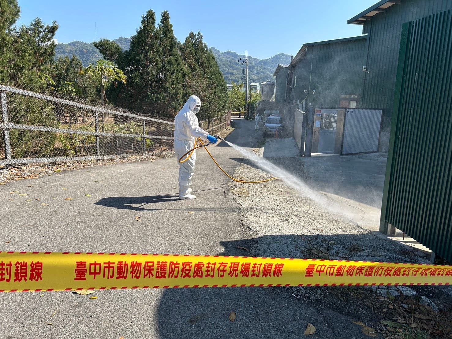 台中爆發養雞場禽流感，市府已派員前往清消並完成雞隻撲殺。（台中市政府提供）
