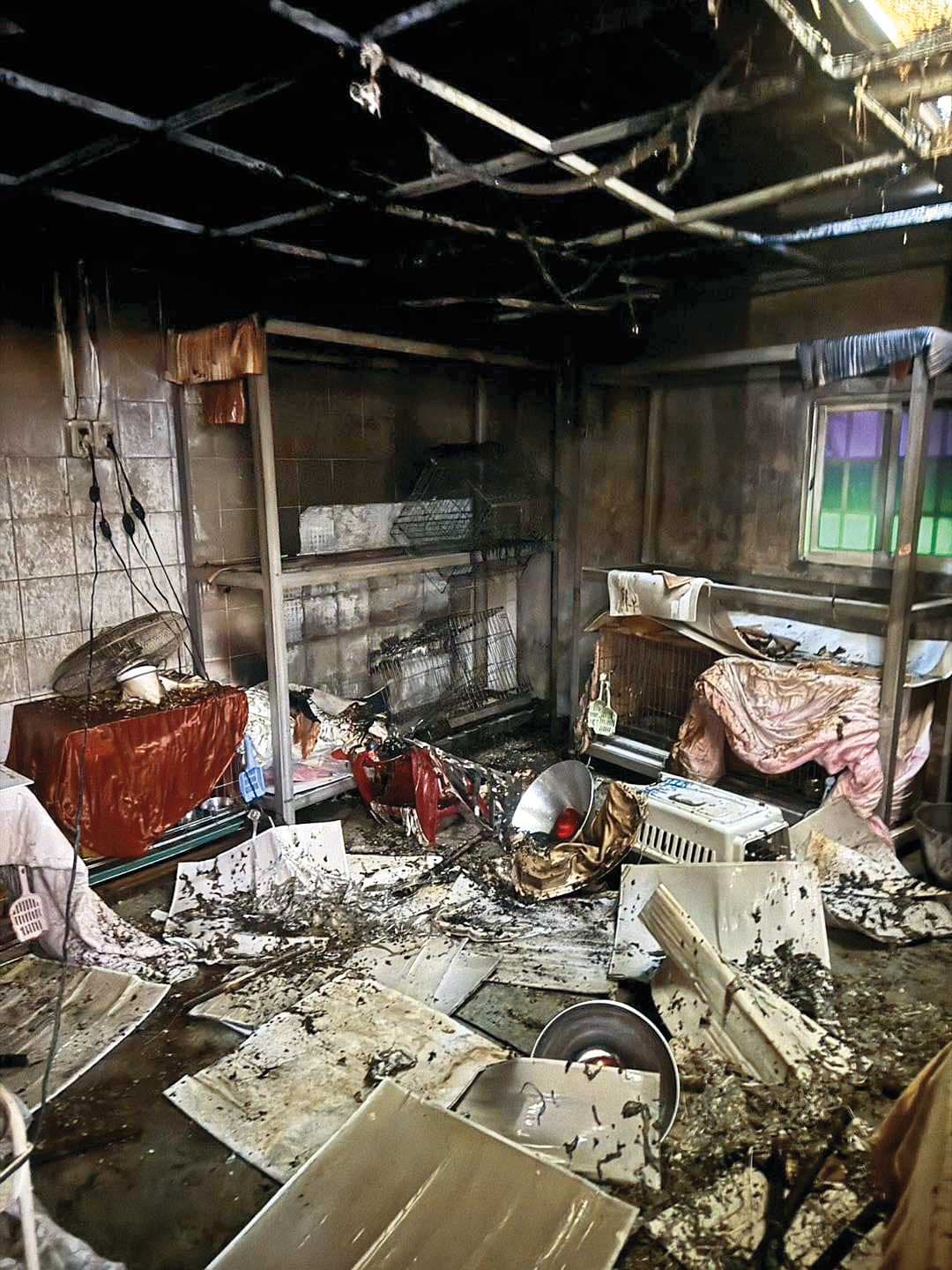 新店動物之家日前發生火災,遭議員戴瑋姍踢爆根本是違建等諸多問題。 (翻攝戴瑋姍臉書)