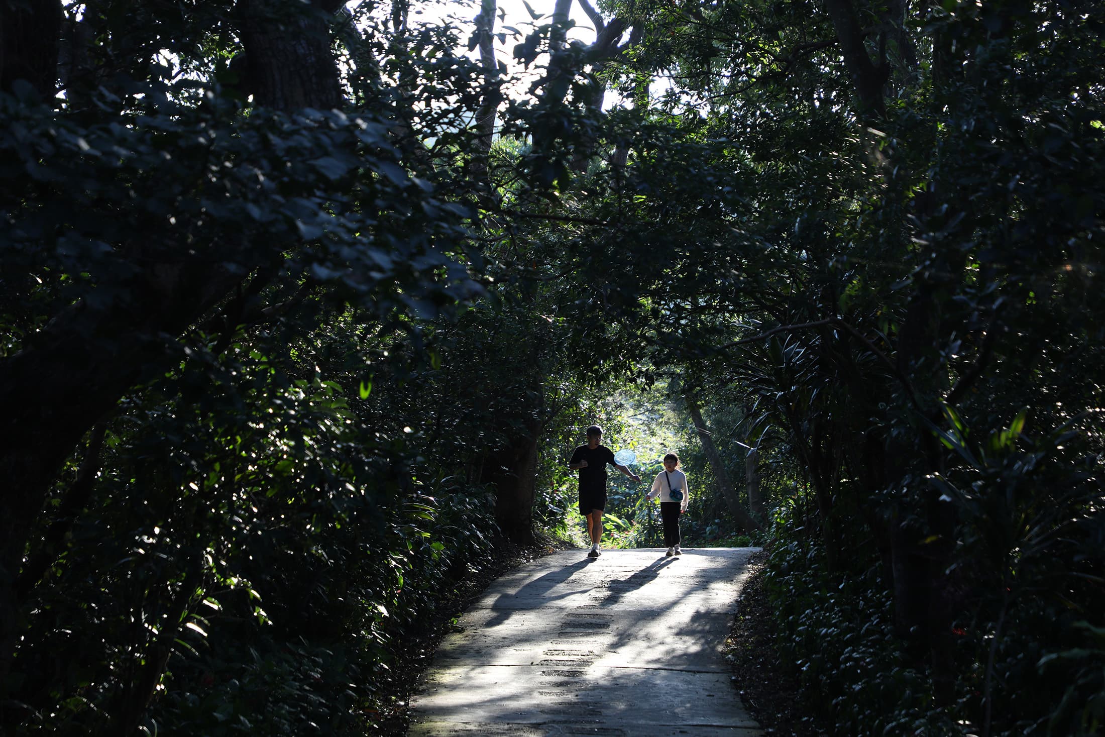 「劍潭山步道」的坡度不陡、路徑清晰，常可見爸媽牽著小朋友同行。