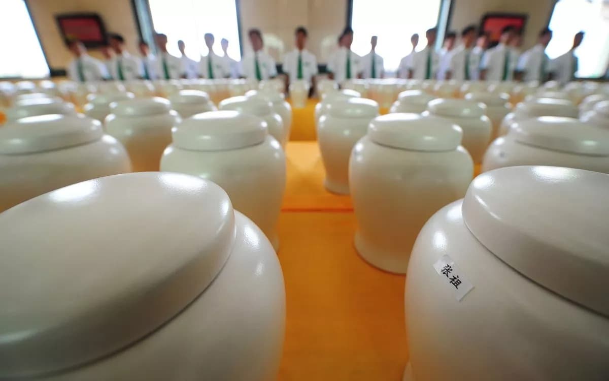 河南爆出火葬場24小時運轉。(翻自《每日星報》)
