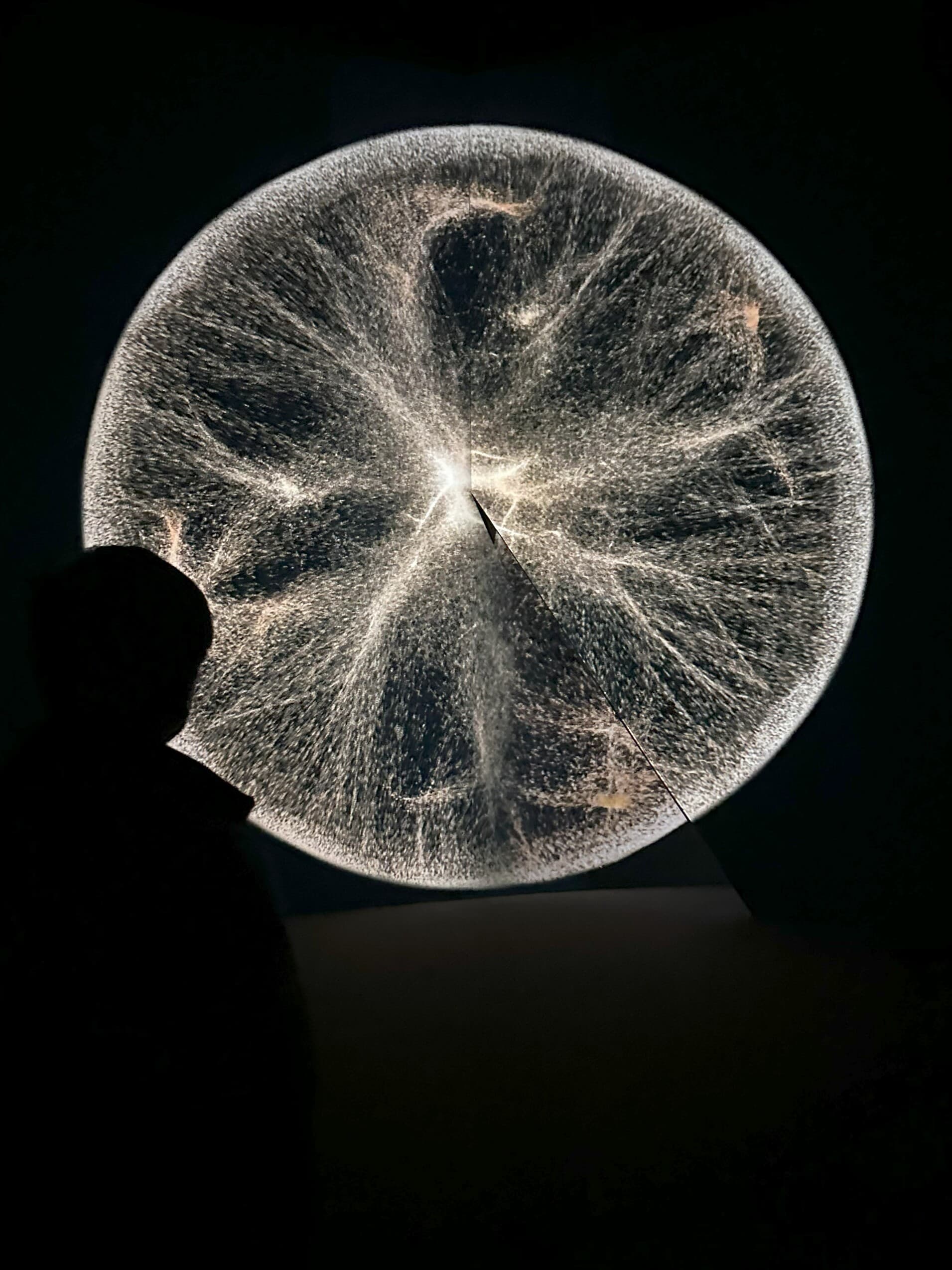 進入場域第一件作品是「CIRCLE(循環)」。