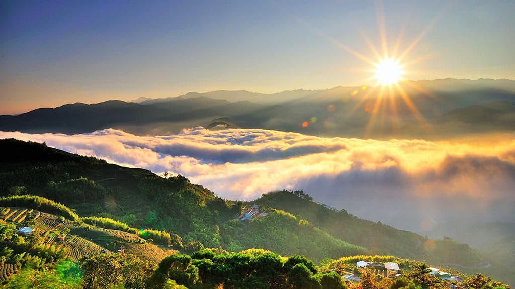 阿里山有日出，也有森林，搭小火車就能上山，也是網友推薦很適合獨旅。（翻攝自阿里山國家風景區管理處官網）
