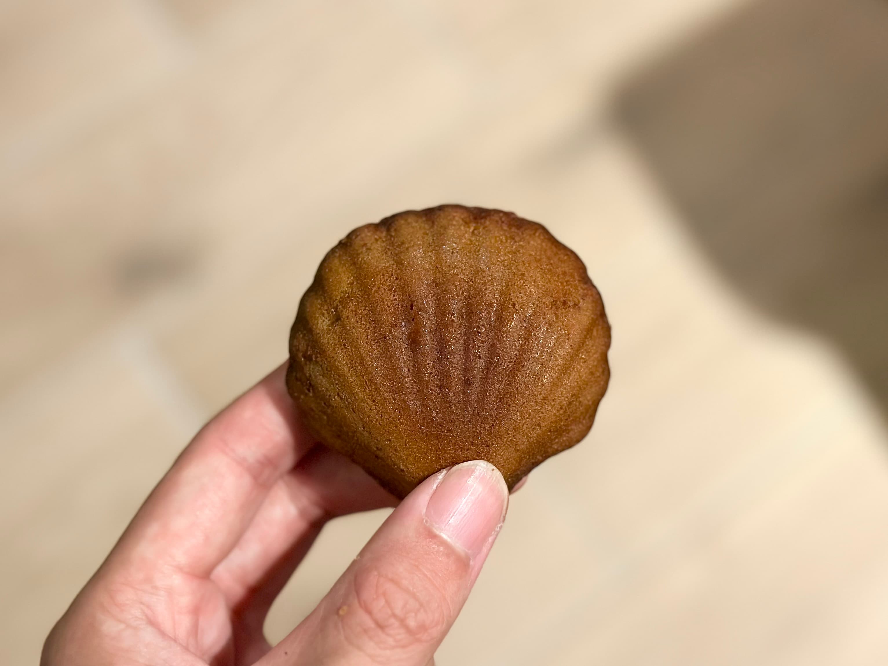 「無花果咖啡瑪德蓮」能嘗到咖啡與肉桂香氣,還有無花果乾籽的脆脆口感。