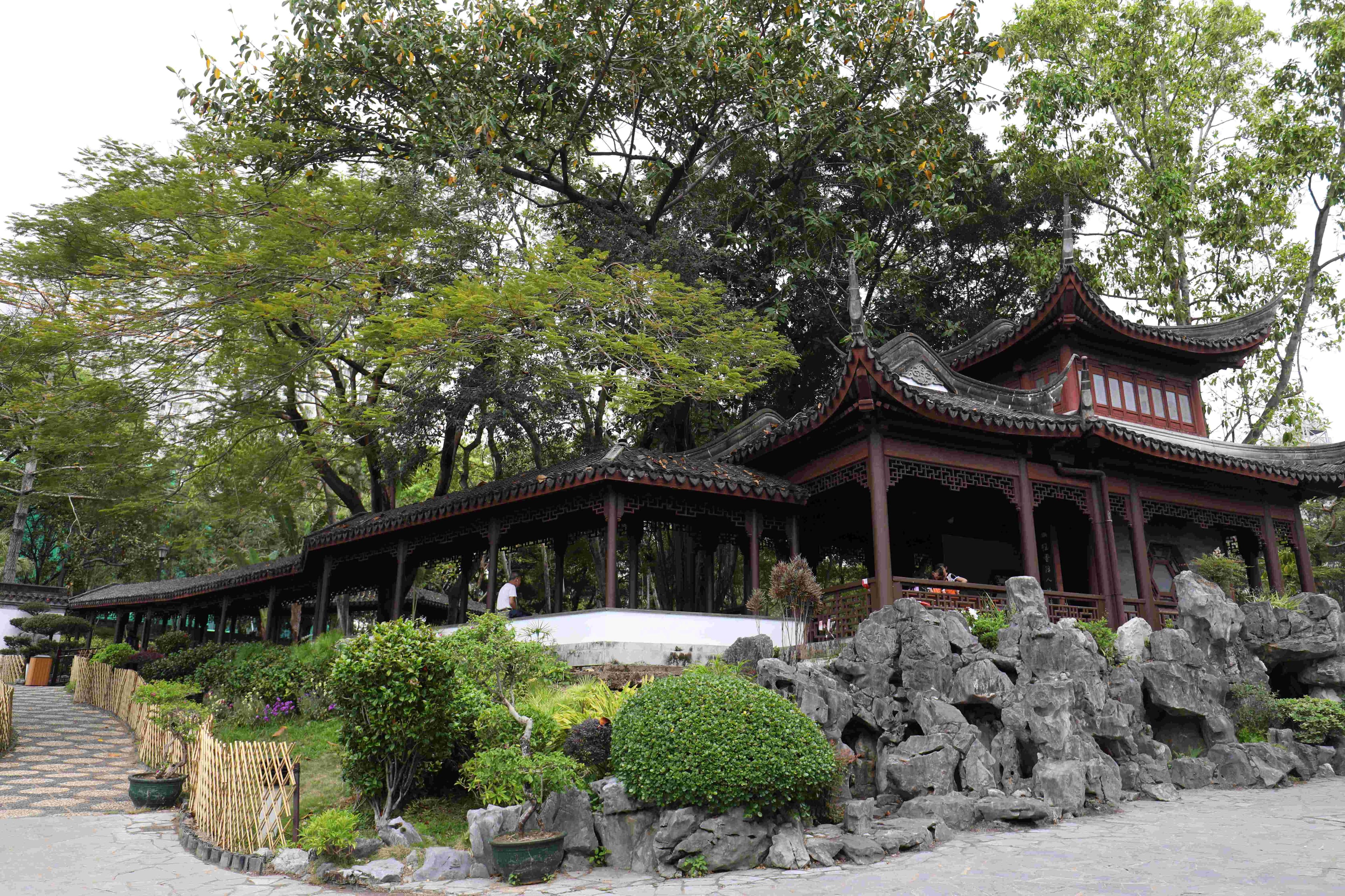 九龍寨城公園的綠意把人拉回現實人生。