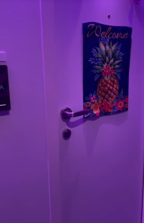 老司機網友解釋房門張貼的鳳梨圖案通常是有關「交換伴侶」的性邀約。(翻攝抖音@blogionistatravels)