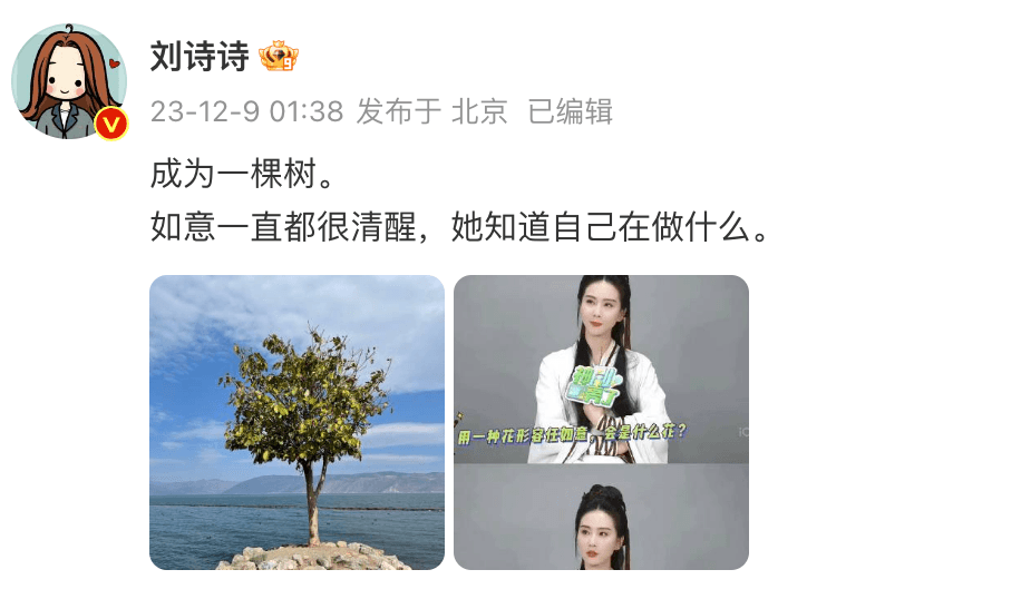 劉詩詩今凌晨在微博發文。(翻攝自微博)