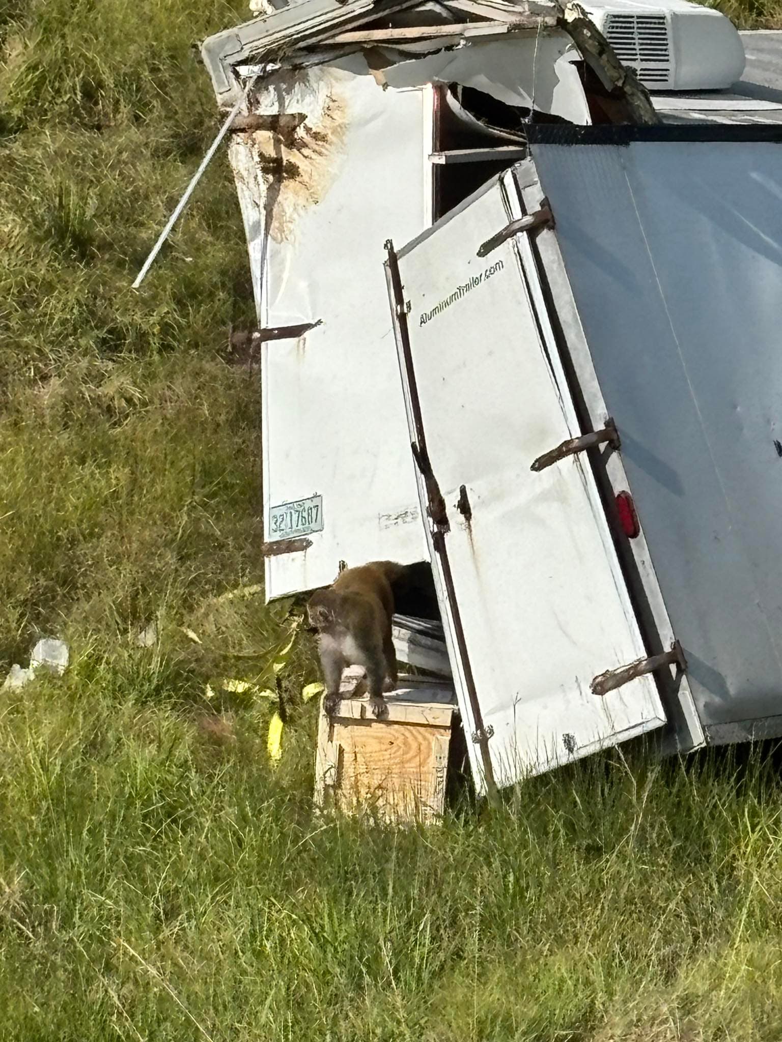 密西西比州運送實驗室猴的卡車車禍現場,有猴子趁機逃出車廂。(翻攝Jasper County Sheriff's Department, Mississippi 臉書)
