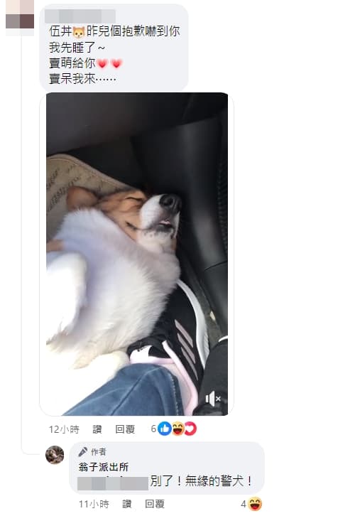 柯基飼主現身留言向被嚇壞的貓咪賠罪。(翻攝自翁子派出所臉書)