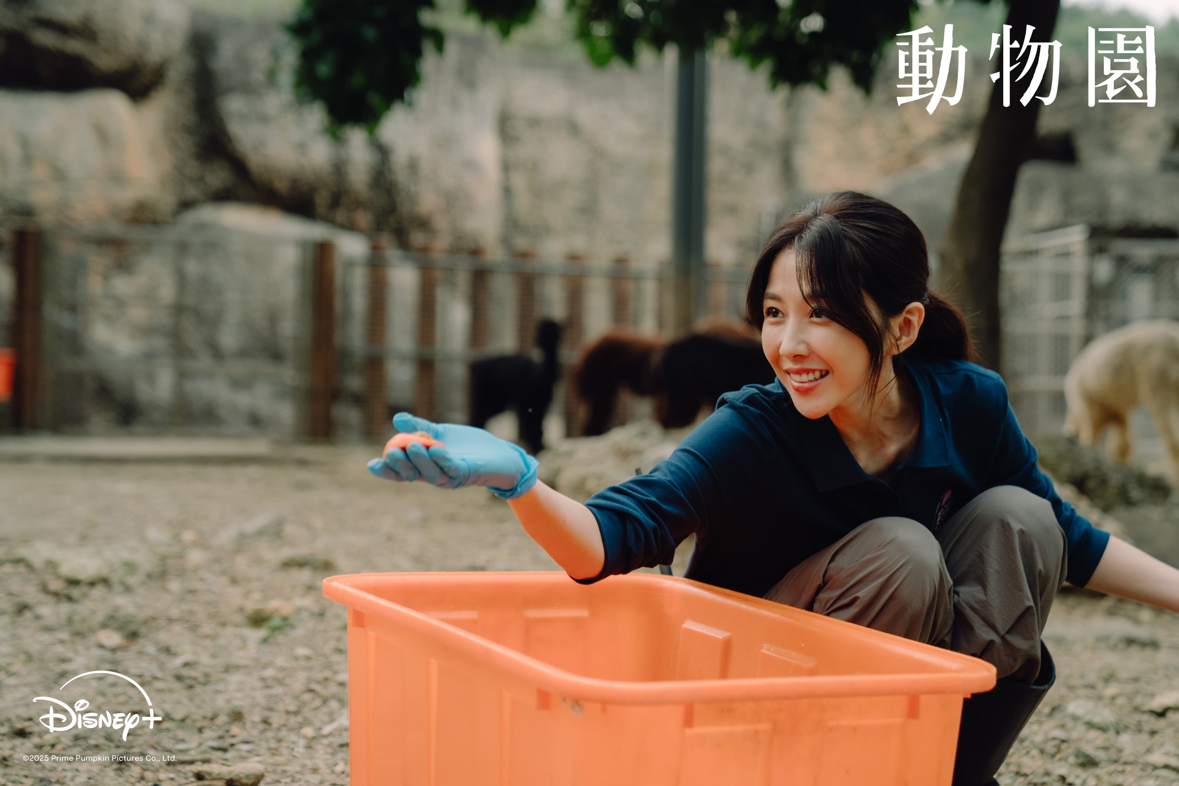 邵雨薇笑認自己太愛猴子,拍攝時炙熱的眼神反而嚇退動物。(Disney+ 提供)