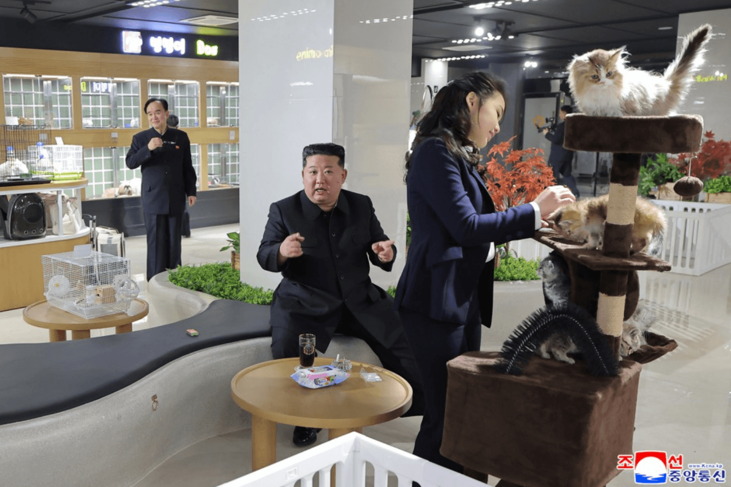 金正恩說話時,金主愛正在開心摸貓。(翻攝朝中社)