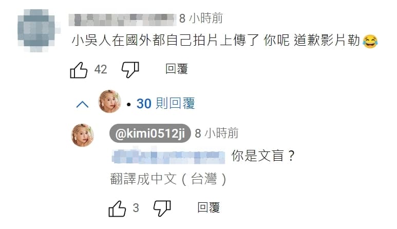 紀卜心竟在留言區回嗆網友「文盲」。(翻攝自紀卜心YT頻道)