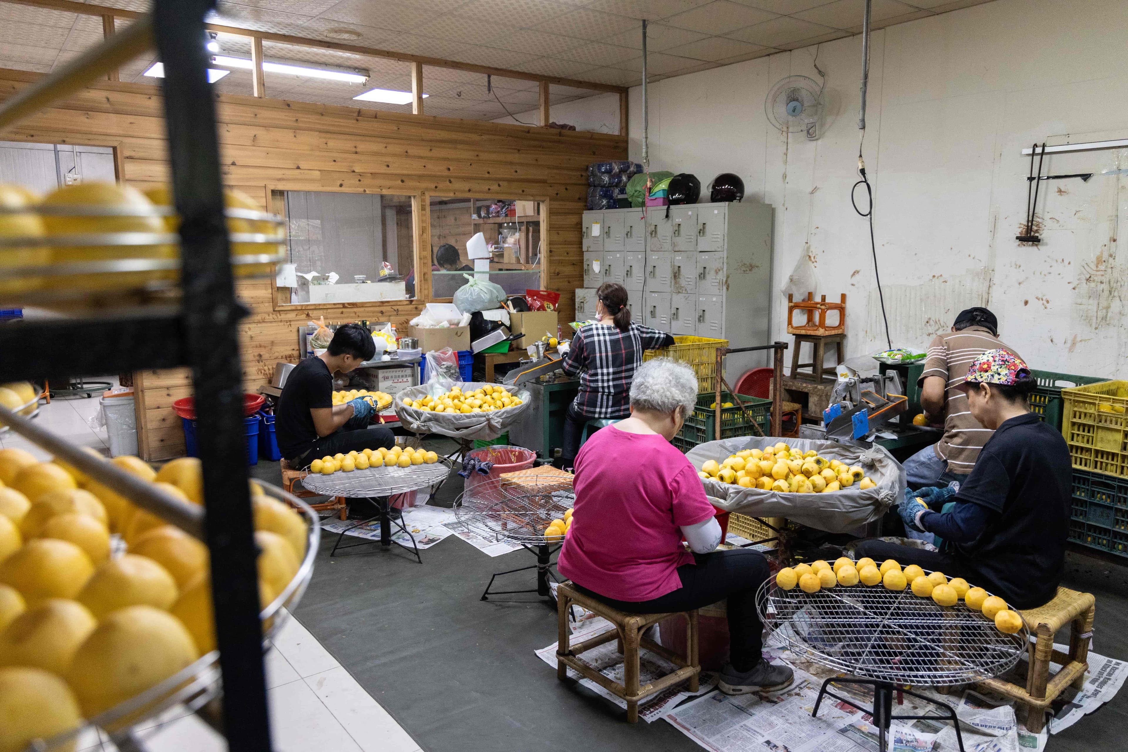 柿餅製作的前置作業,可以透過半開放的工作空間一目了然。
