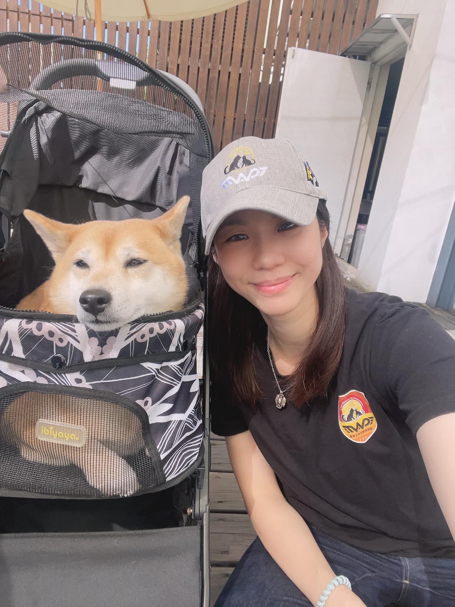 關心羚提醒飼主勿將寵物獨留於車內。(翻攝關心羚 獸醫師臉書)