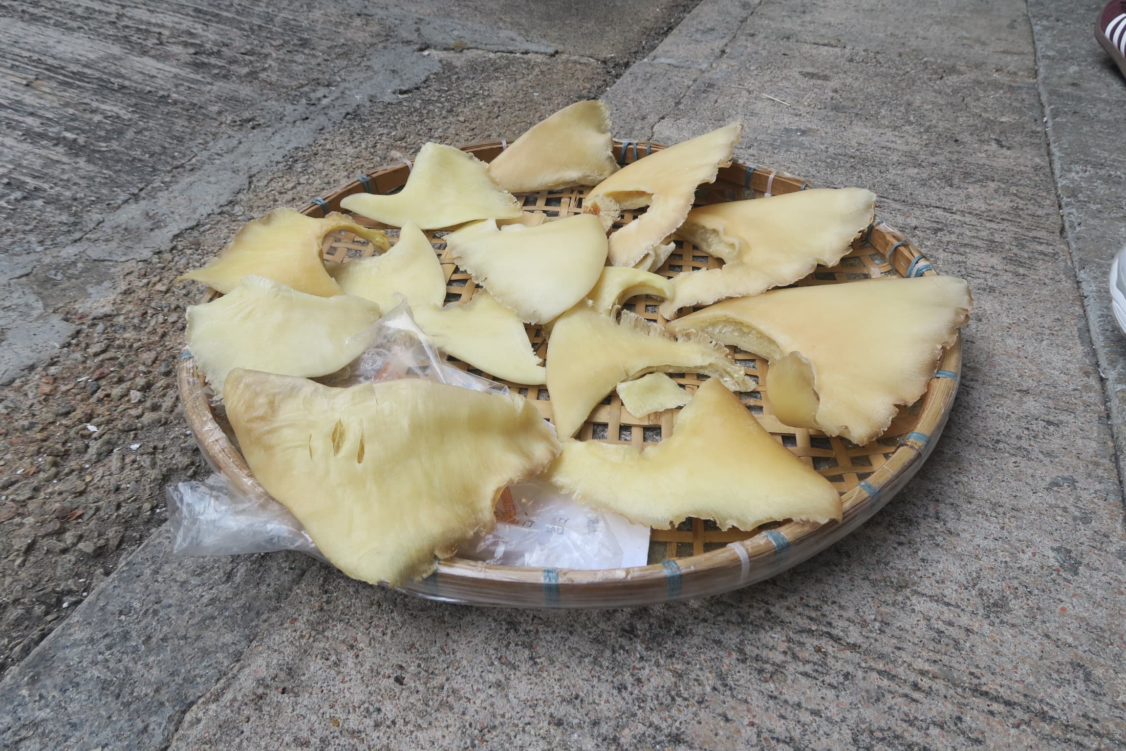 潮州人善烹魚翅,店前直接放一籃在陽光下曝曬。