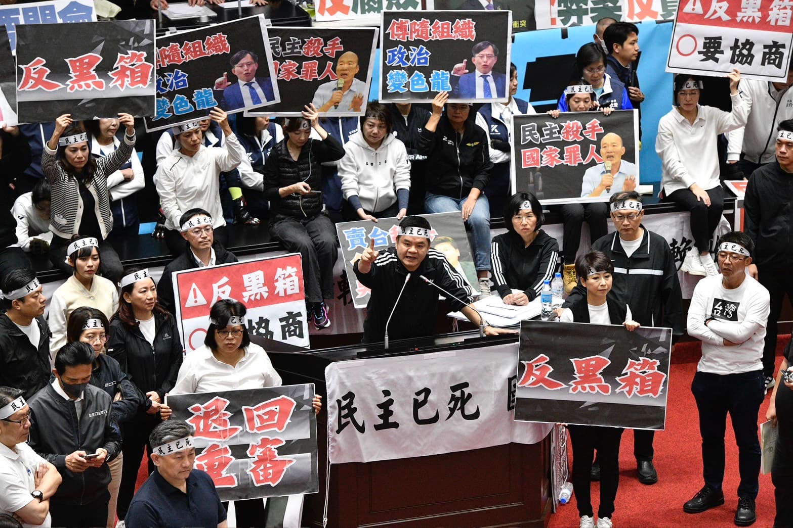 綠營痛批黑箱、要求審查,怒轟「民主已死」。