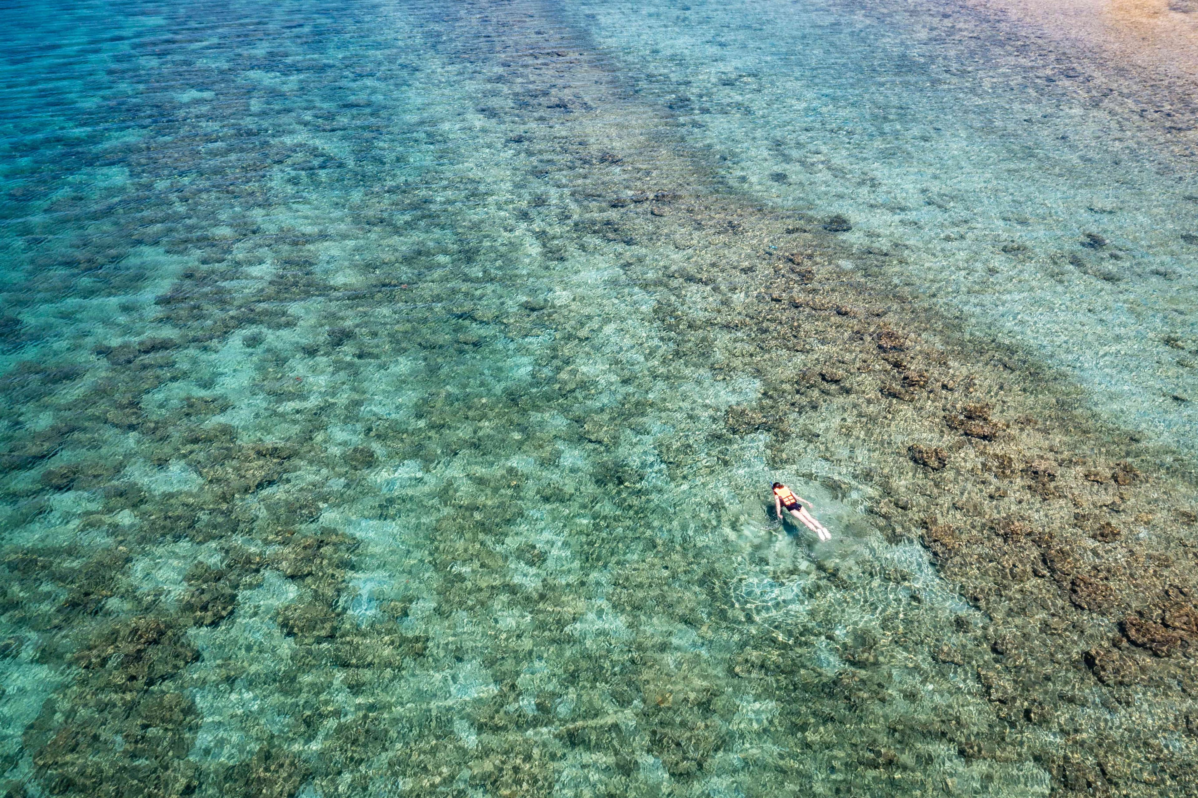 「海星島」(Starfish Island)水質實在太透徹,漂浮在水中心情寧靜又愜意。