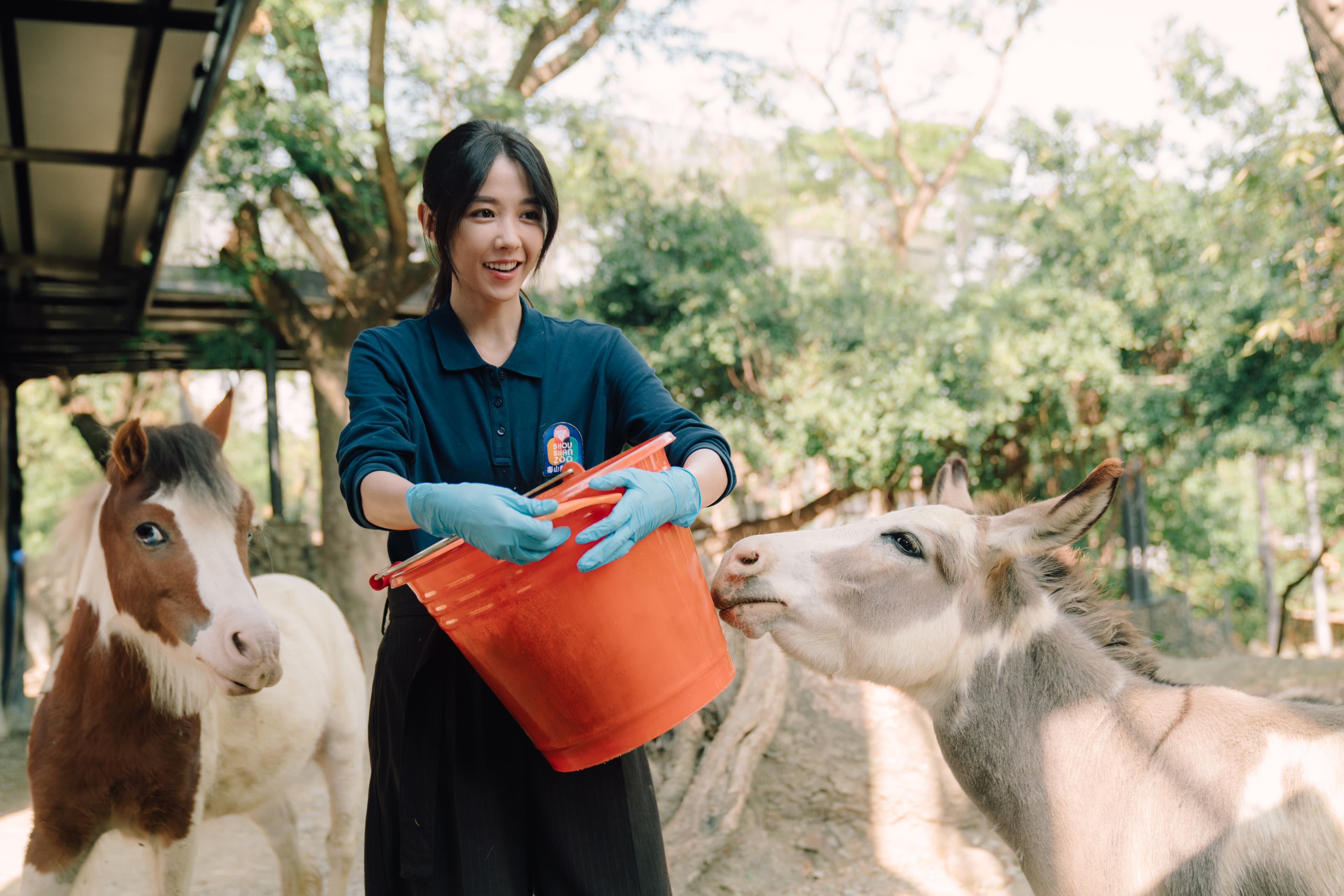 邵雨薇在《動物園》中飾演廣告菁英,陰錯陽差成為高雄壽山動物園的實習保育。(Disney+)