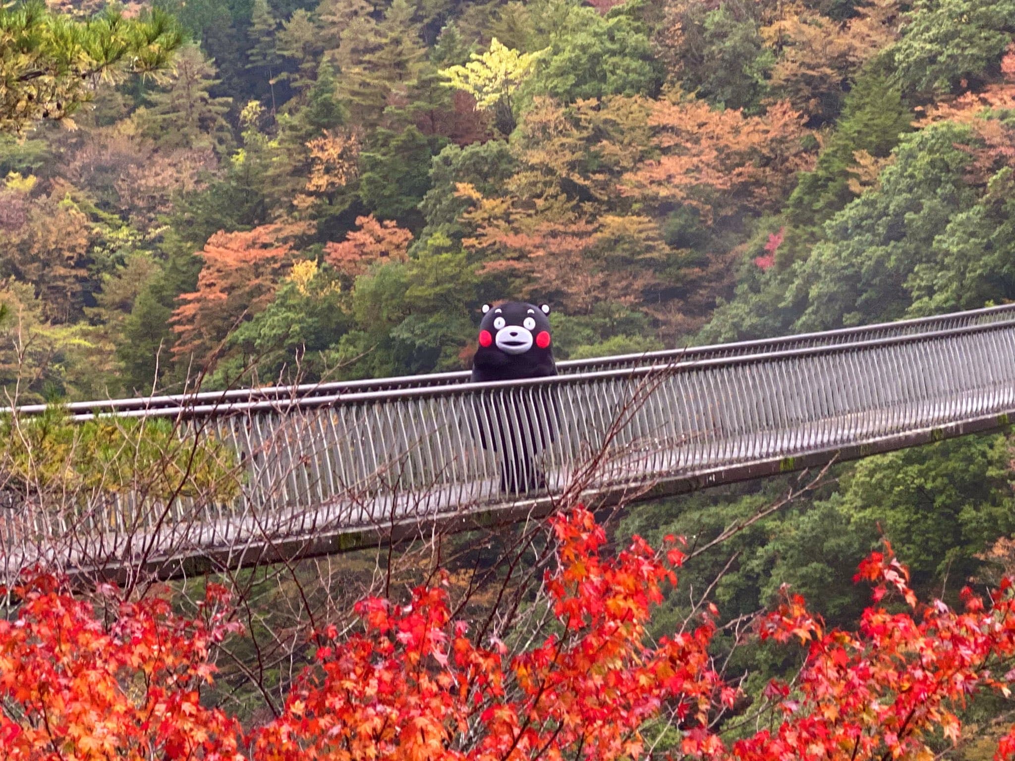 日本楓葉季一直是台灣旅遊團的熱門活動。（翻自X平台）
