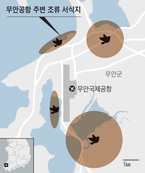 務安機場附近,有4個候鳥基地。(翻自《朝鮮日報》)