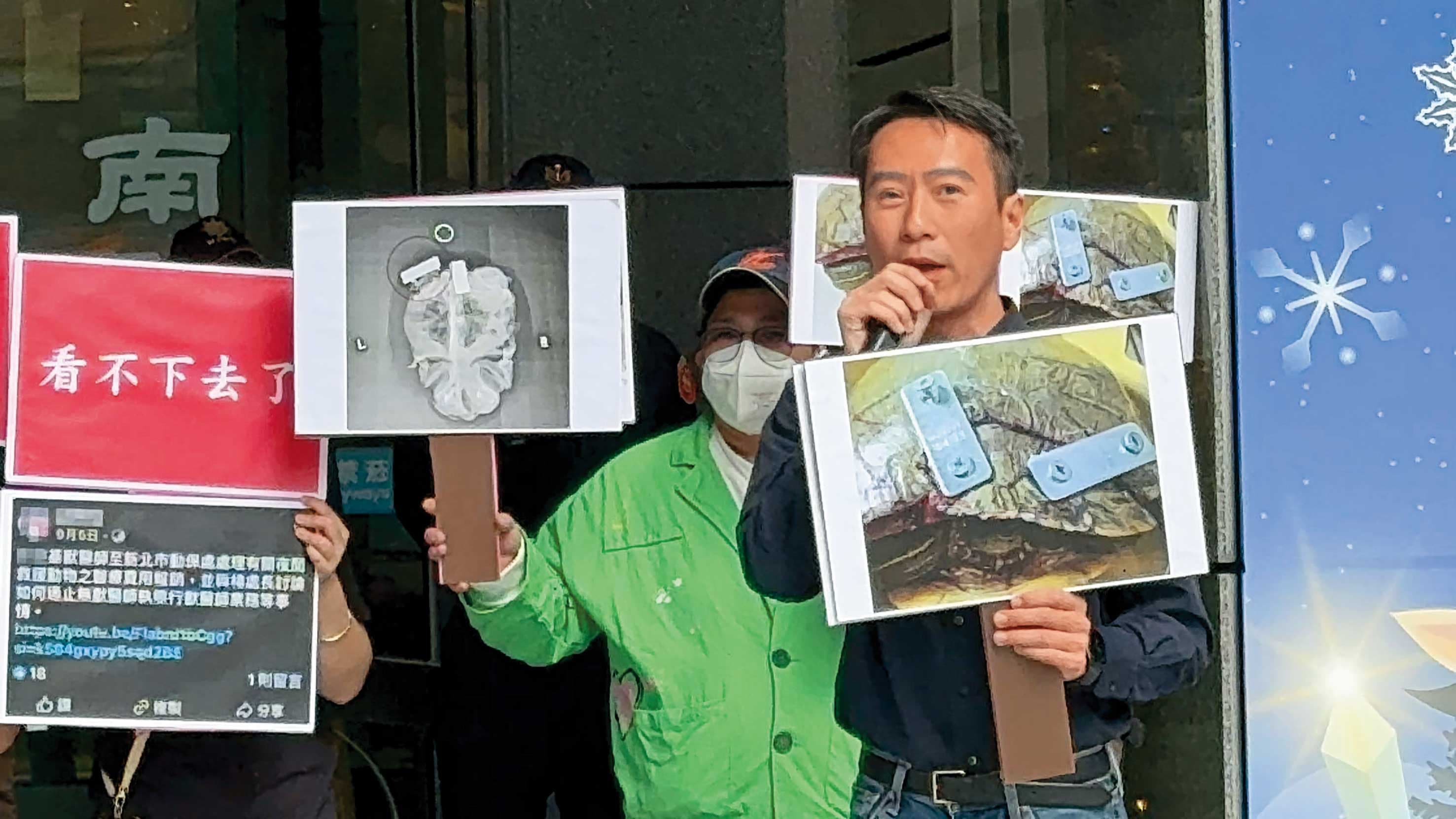 動保處簽約獸醫遭指控治療烏龜骨折時,竟用工業螺絲將龜殼釘穿。(讀者提供)