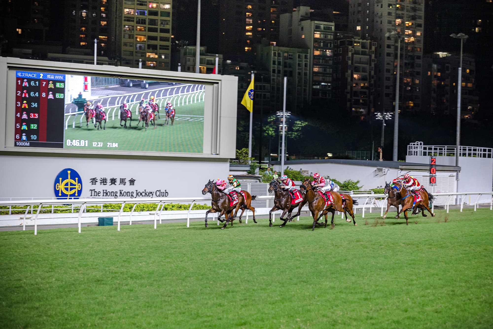 看馬兒們狂奔至終點的過程，非常刺激與血脈賁張。
