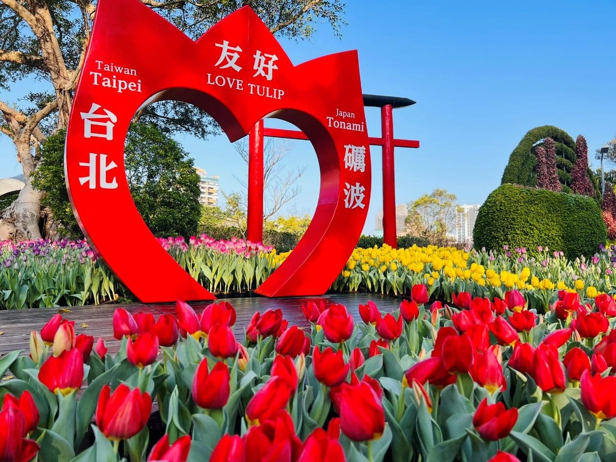 台日友好合作邁入第六年,讓民眾可以在台北看到日本特有種的鬱金香。(北市工務局公園處提供)