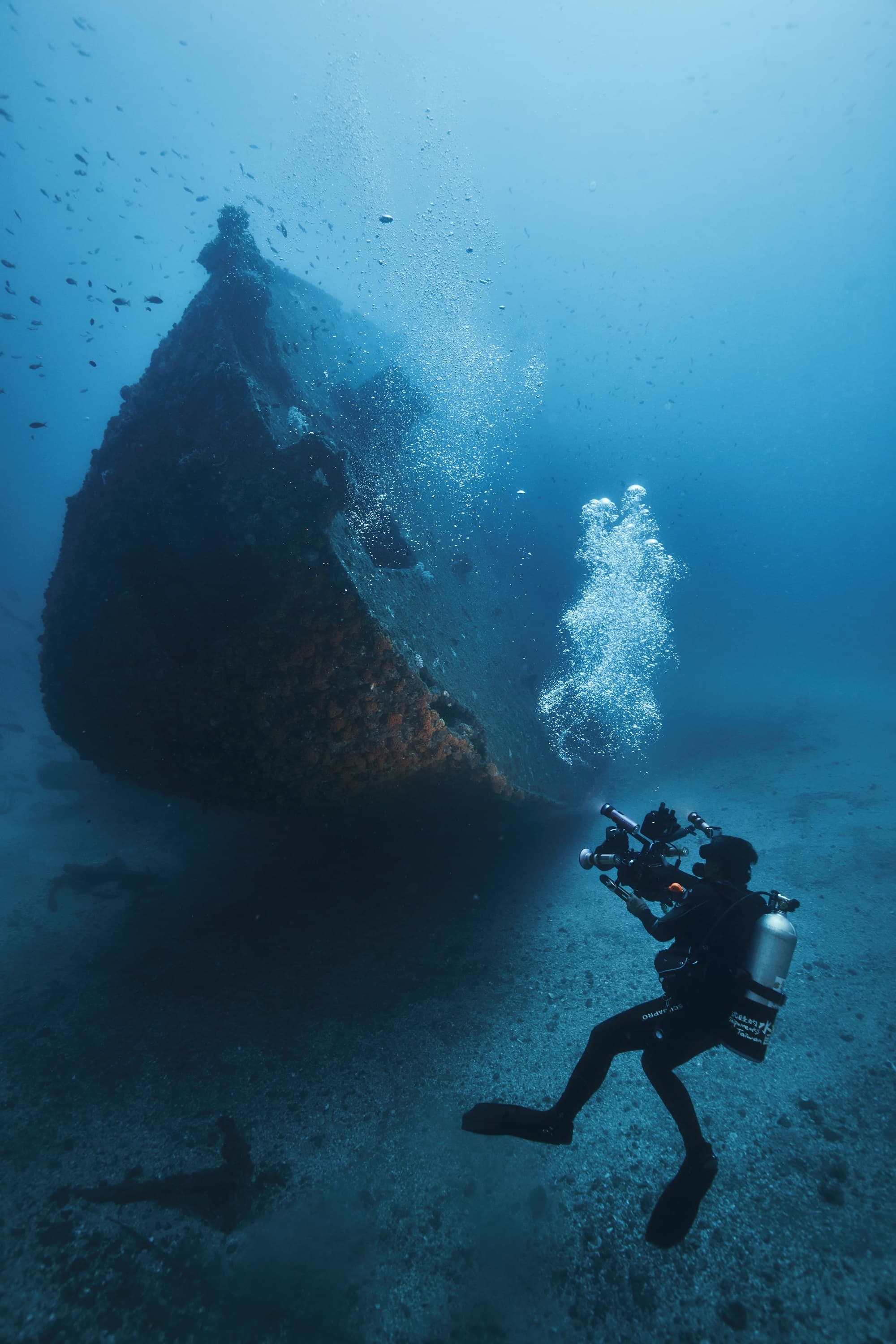 《沈睡的水下巨人》團隊於澎湖拍攝的凌雲艦船尾,畫面壯觀。(公視提供)