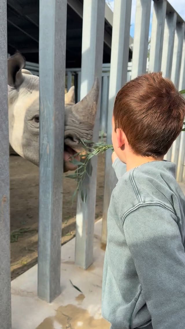 亞契到動物園餵犀牛,在動物園餵食犀牛,濃密紅髮在陽光下格外顯眼。(翻攝meghan IG)