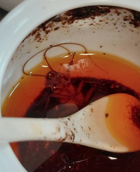 桌上的辣油罐內竟泡著一隻身形完整、觸角清晰的大蟑螂,畫面令人作嘔。(翻攝自臉書/{仁武人}※大小事)