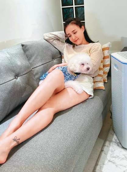 何妤玟的愛犬恰恰是隻貴賓,6個月大時被收養至今,經常在她的社群平台亮相。(翻攝何妤玟IG)