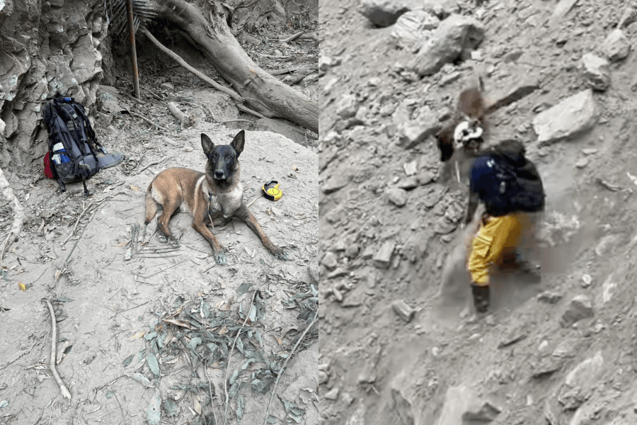 搜救犬傳八與領犬員在斜坡上出任務,傳八表示:「我有照顧好把拔唷~」(翻攝自搜救犬「羅傑計劃」臉書)