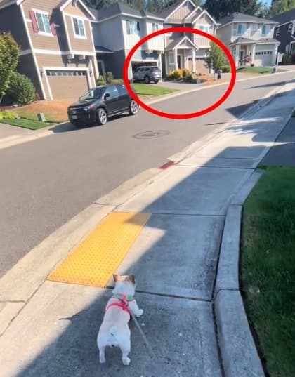 車子後方一名幼童未察覺前方正在倒車,而達拉斯專注地盯著這場危險。((翻攝自tiktok @dalilhama))